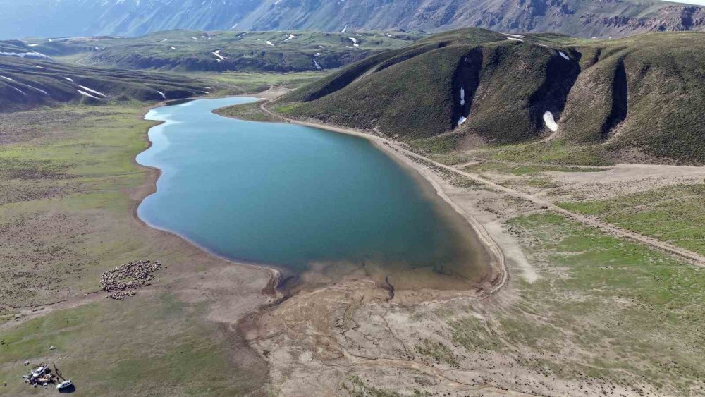Göçerler 5 Aylık Yayla Sezonunu Bitlis’te Açtı