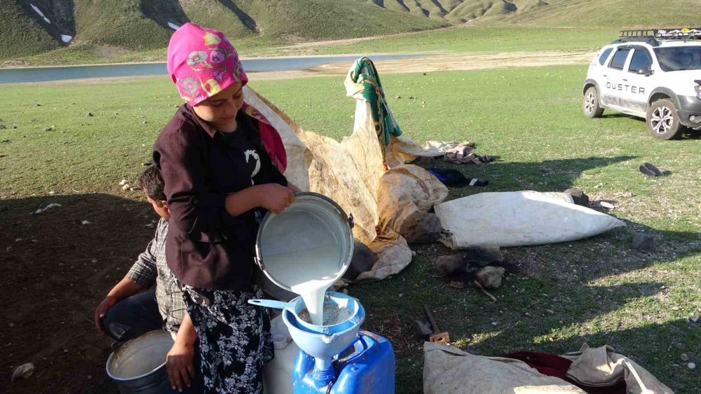 Göçerler 5 Aylık Yayla Sezonunu Bitlis’te Açtı