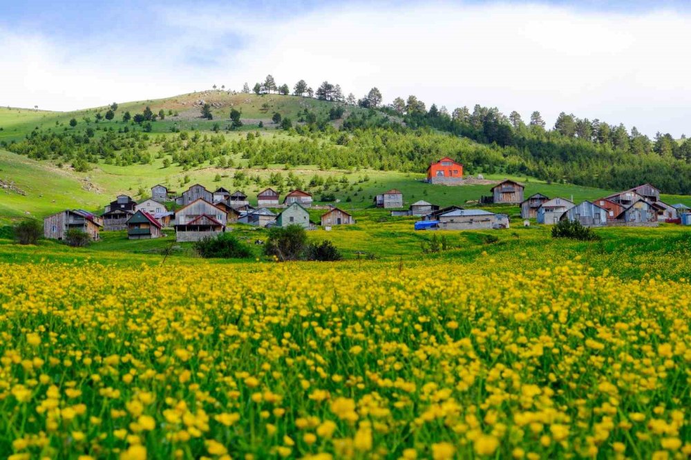 Gümüşhane Torul'da Bin 950 Metrede Görsel Şölen