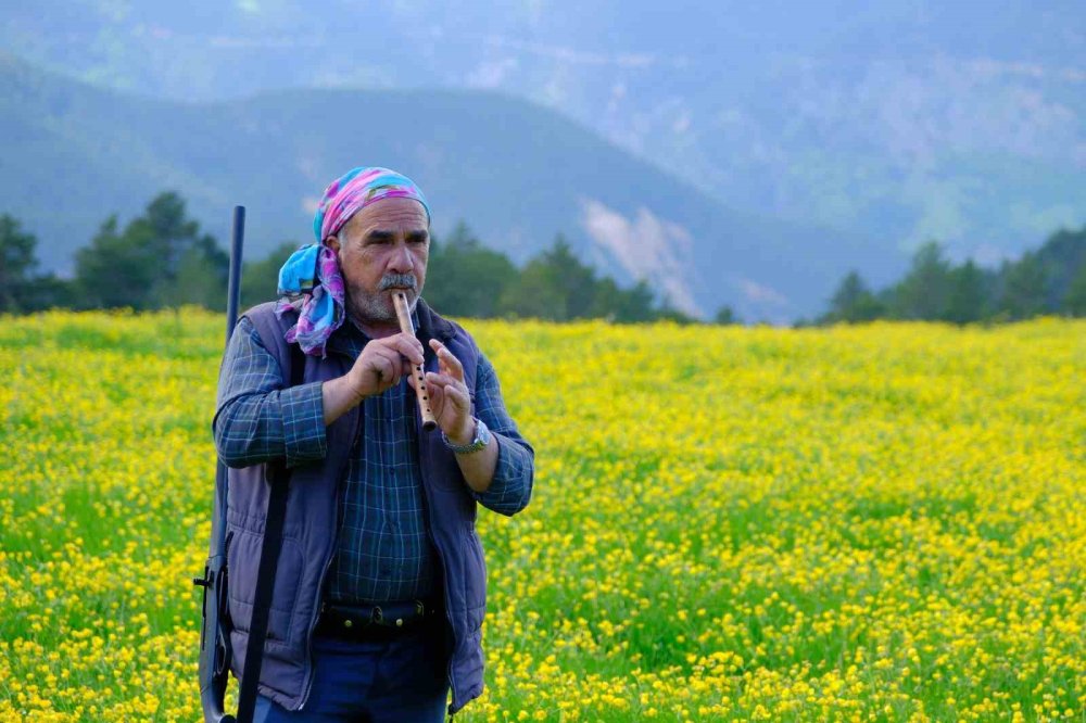 Gümüşhane Torul'da Bin 950 Metrede Görsel Şölen