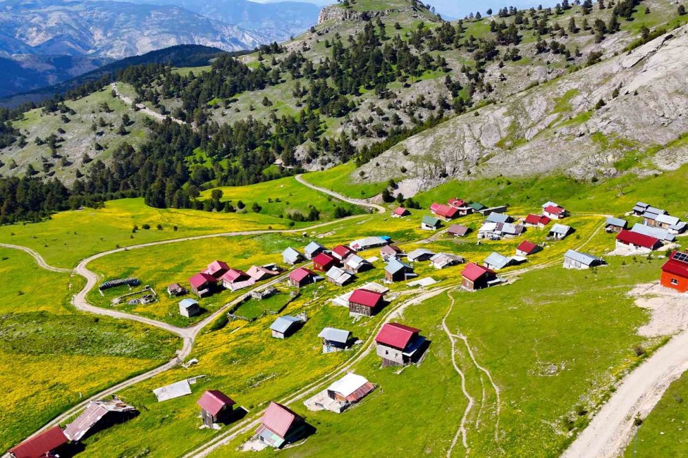 Gümüşhane Torul'da Bin 950 Metrede Görsel Şölen