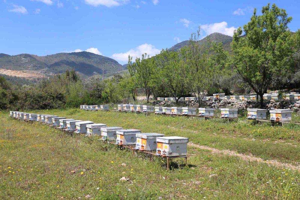 Tarımsal Yatırımlara Milyarlarca Liralık Destek.. Son Başvuru Tarihi Güncellendi!