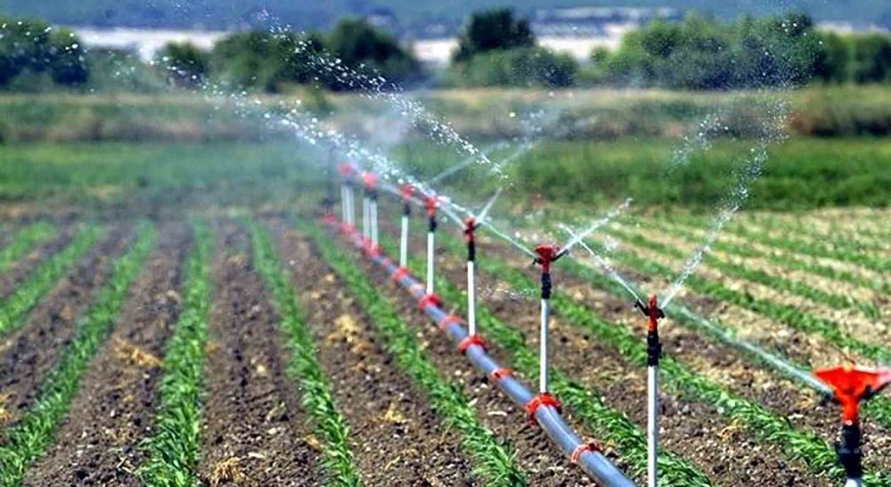 Tarımsal Yatırımlara Milyarlarca Liralık Destek.. Son Başvuru Tarihi Güncellendi!