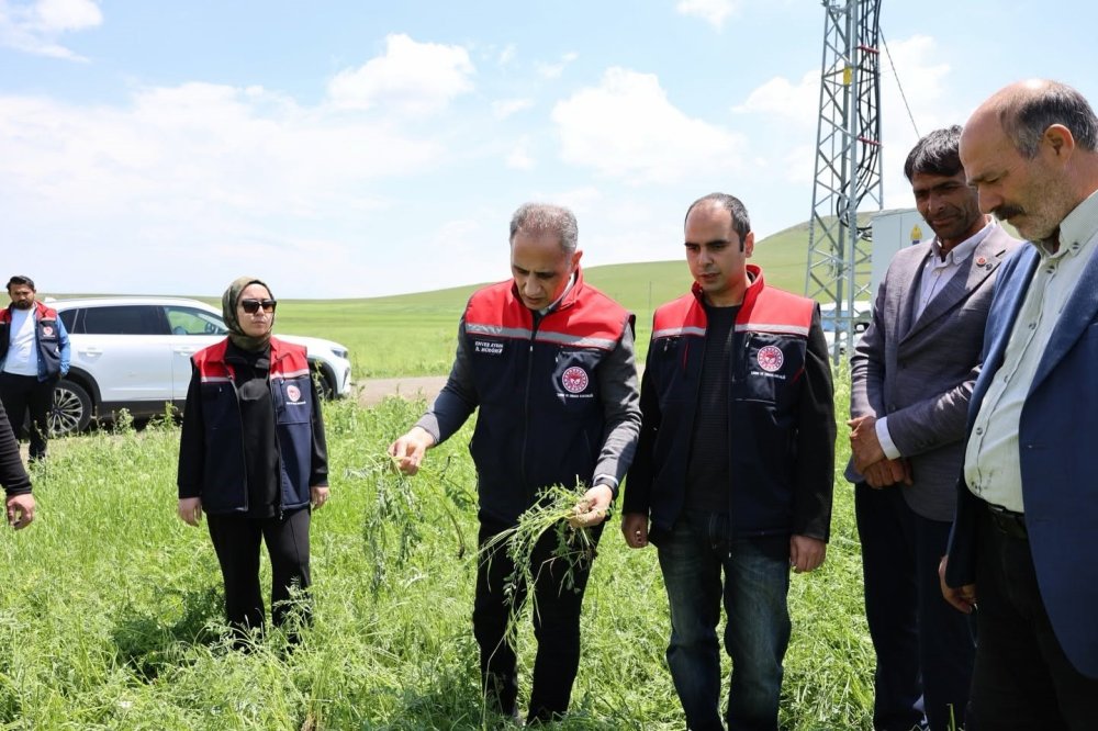 Akyaka’da Dolu Felaketi Tarımı Vurdu.. 9 Köy ve 3 Mahallede Hasar Oluştu!