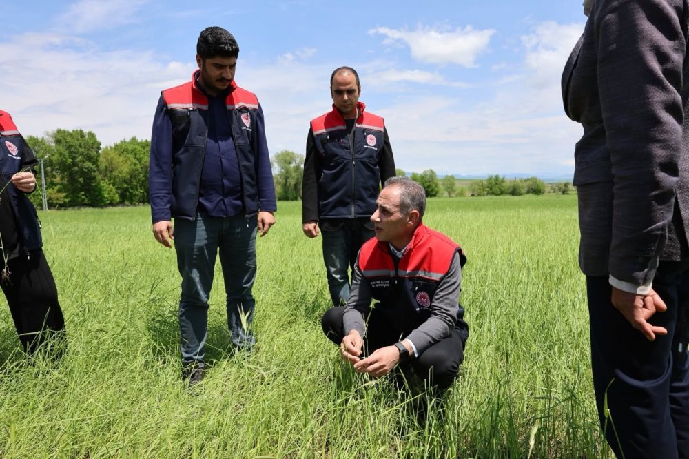 Akyaka’da Dolu Felaketi Tarımı Vurdu.. 9 Köy ve 3 Mahallede Hasar Oluştu!