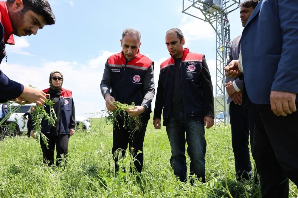 Akyaka’da Dolu Felaketi Tarımı Vurdu.. 9 Köy ve 3 Mahallede Hasar Oluştu!
