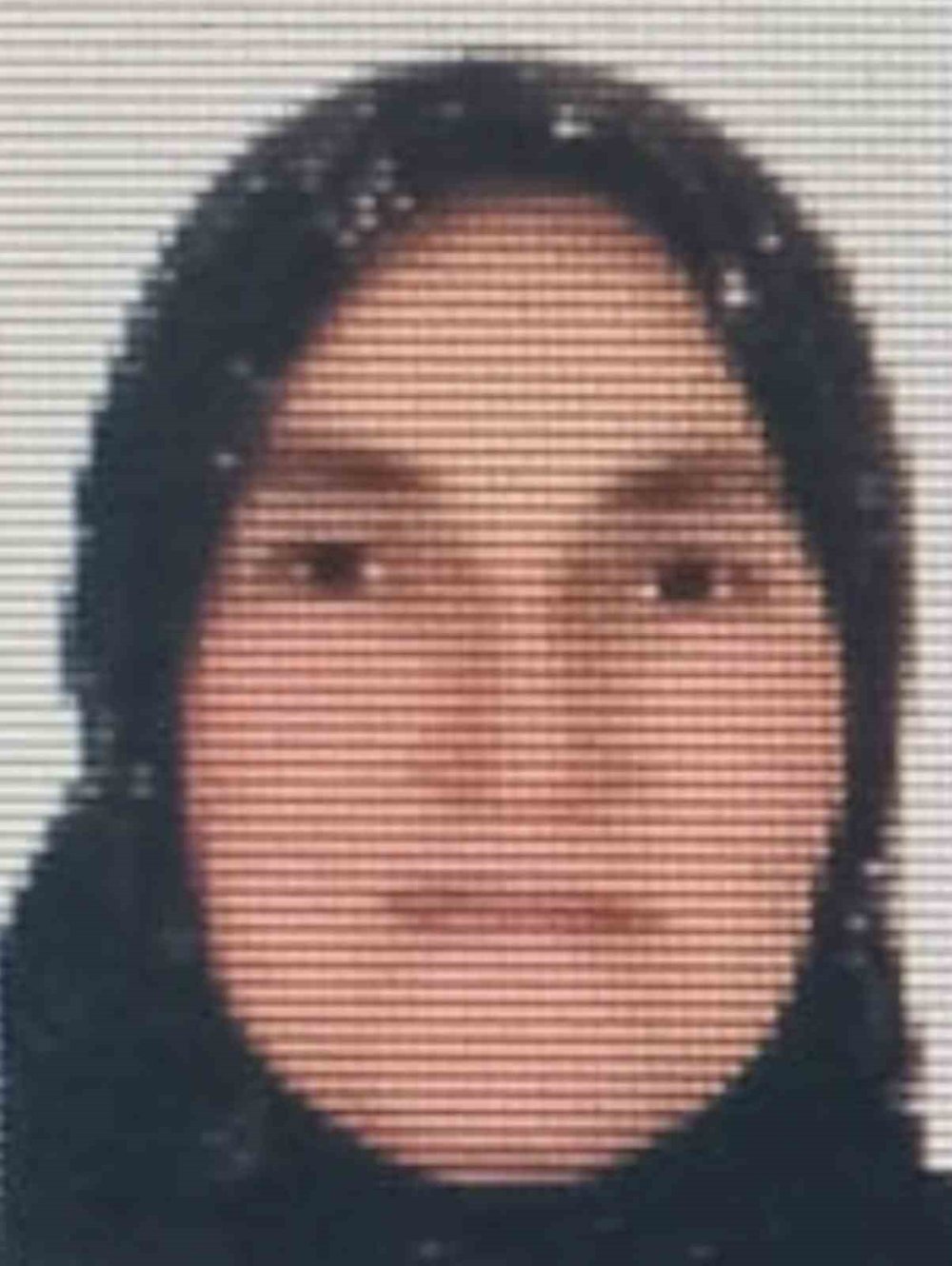 Ordu’da İneğin Teptiği Kadın Hayatını Kaybetti