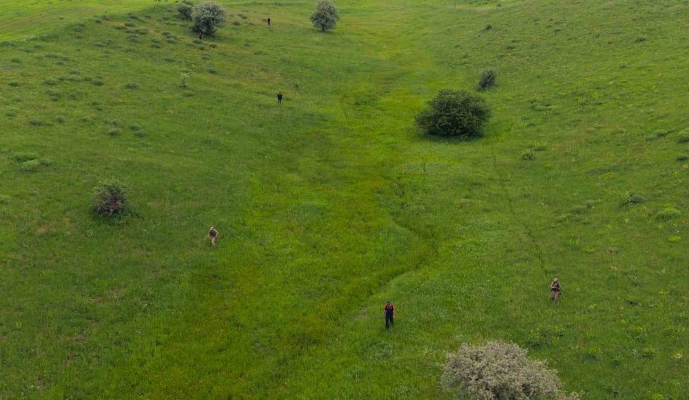 Muş’ta Kaybolan Çoban İçin Arama Çalışmaları Sürüyor