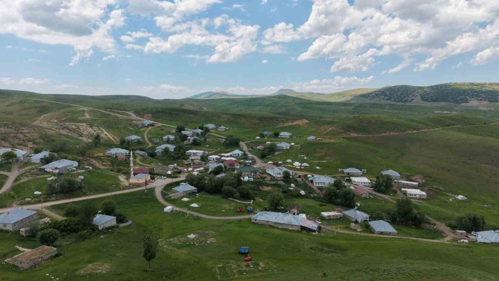 Muş’ta Kaybolan Çoban İçin Arama Çalışmaları Sürüyor