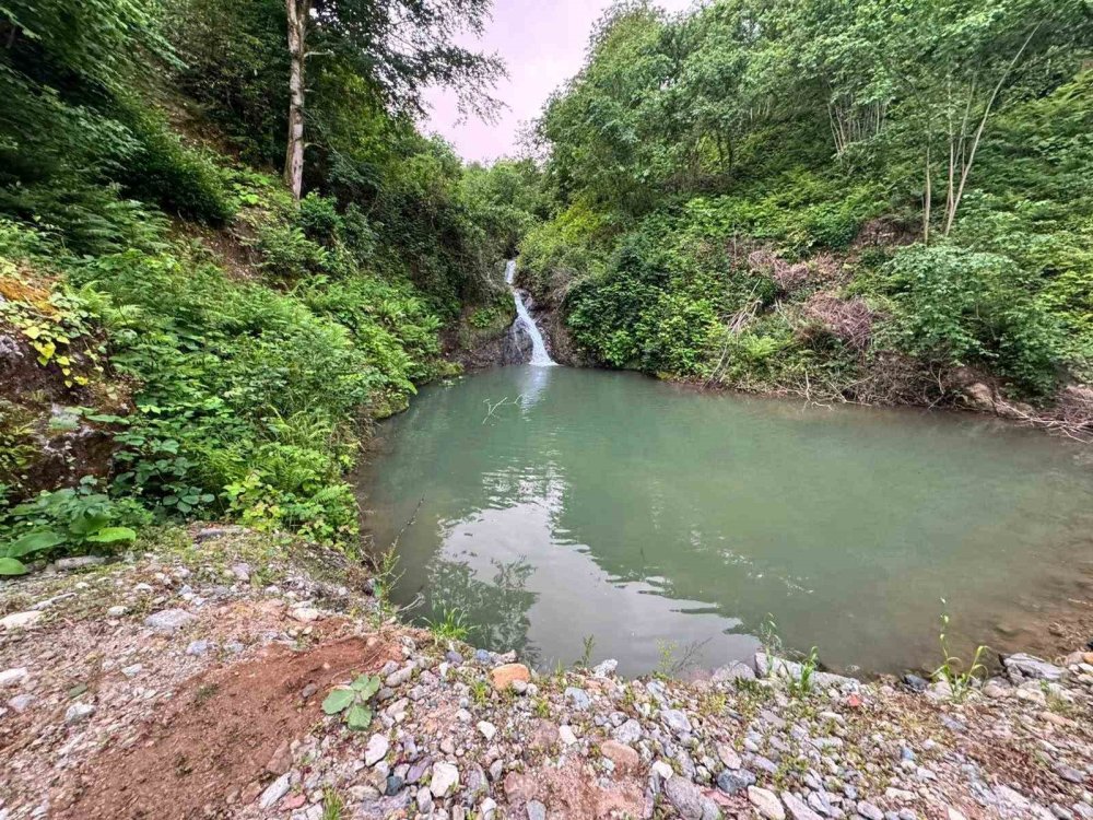 Serinlemek İçin Suya Girdiler.. İki Din Görevlisinden Kahreden Haber Geldi!