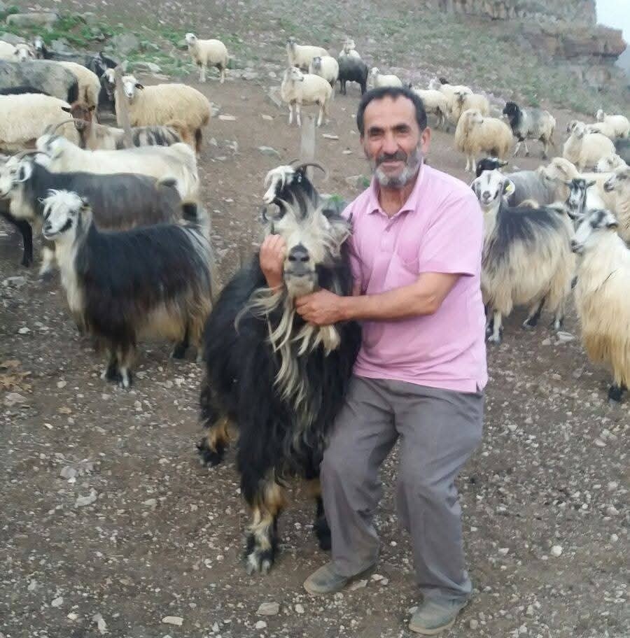 Şavşat Deresi’ne Uçan Kamyonet Çıkarıldı, Kayıp Baba Ve Oğul Aranıyor