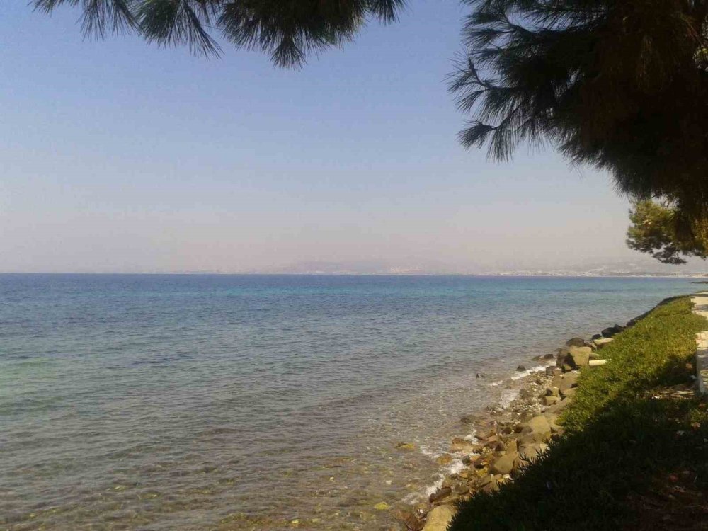 Kuşadası’nda Deniz Suyu Kalitesi Yüz Güldürdü