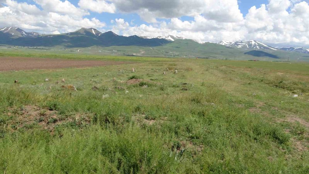 Erzurum’da İki Asırlık Mezarlığa Defineci Talanı