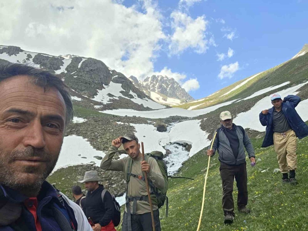 Kaçkarlar’da Geleneksel Öküz Göçü Başladı.. Karlı Zirvelerde Zorlu Yayla Yolculuğu!