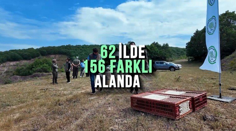 Kene ve Kokarcaya Karşı Doğal Hamle.. 51 Bin Keklik ile Sülün Doğaya Salınacak!