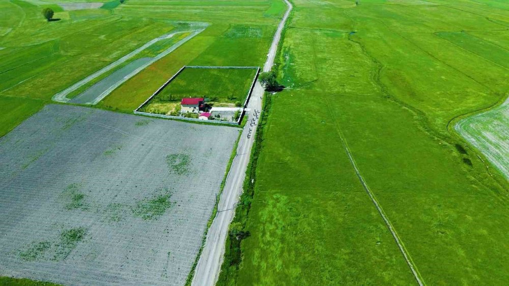 Erzurum'un Bisiklet Tutkunları Yeni Rotalar Keşfediyor.. Pedallar Maceraya Dönüyor!