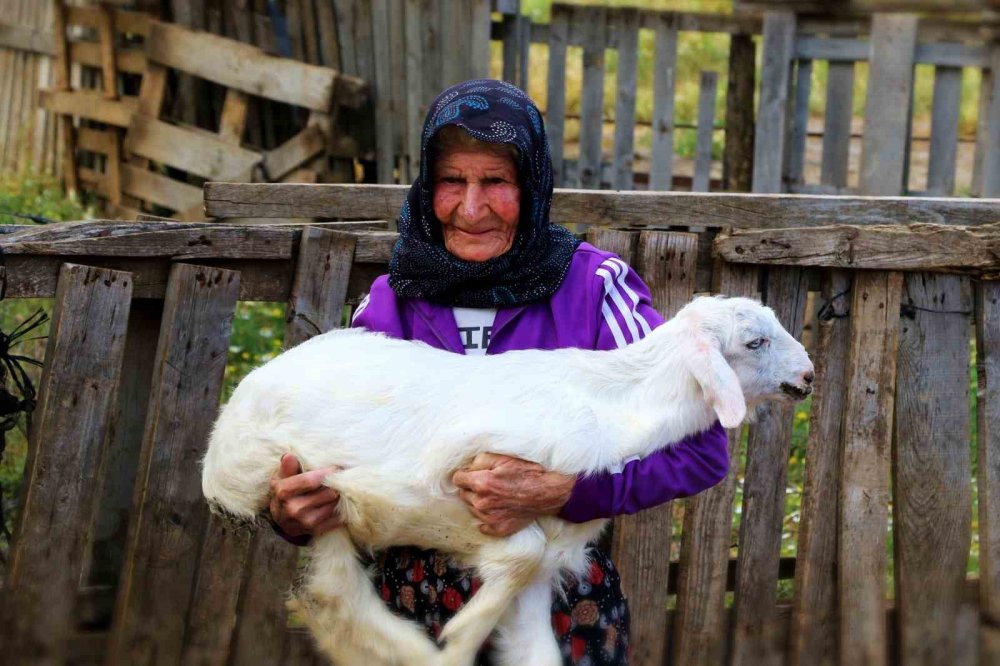 Antalya'nın 94 Yaşındaki Çobanı Emine Nine.. 90 Yıldır Keçileriyle Dağlardan İnmiyor!