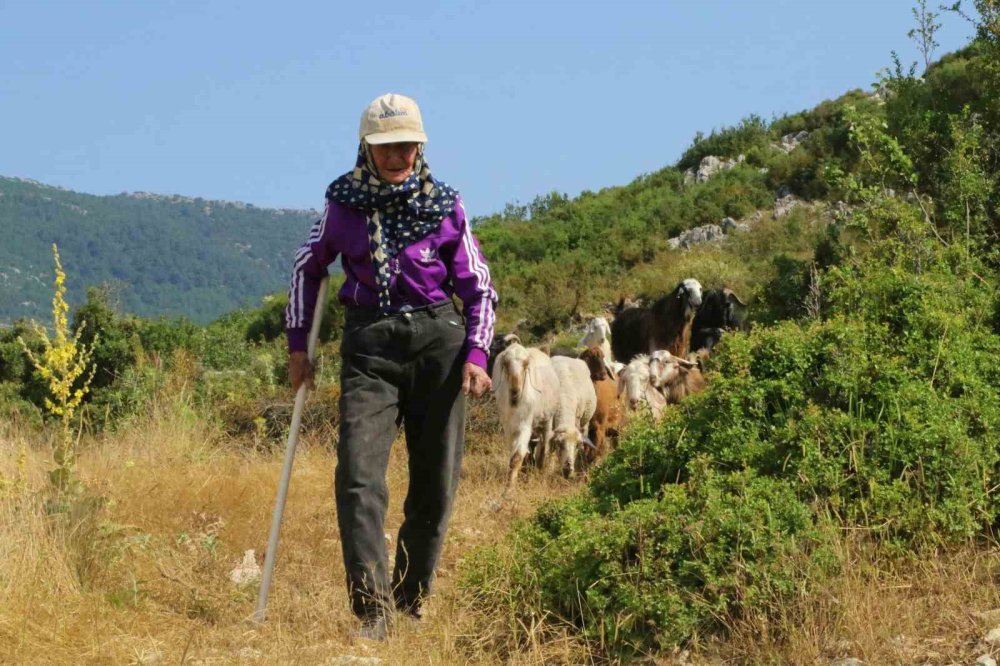 Antalya'nın 94 Yaşındaki Çobanı Emine Nine.. 90 Yıldır Keçileriyle Dağlardan İnmiyor!