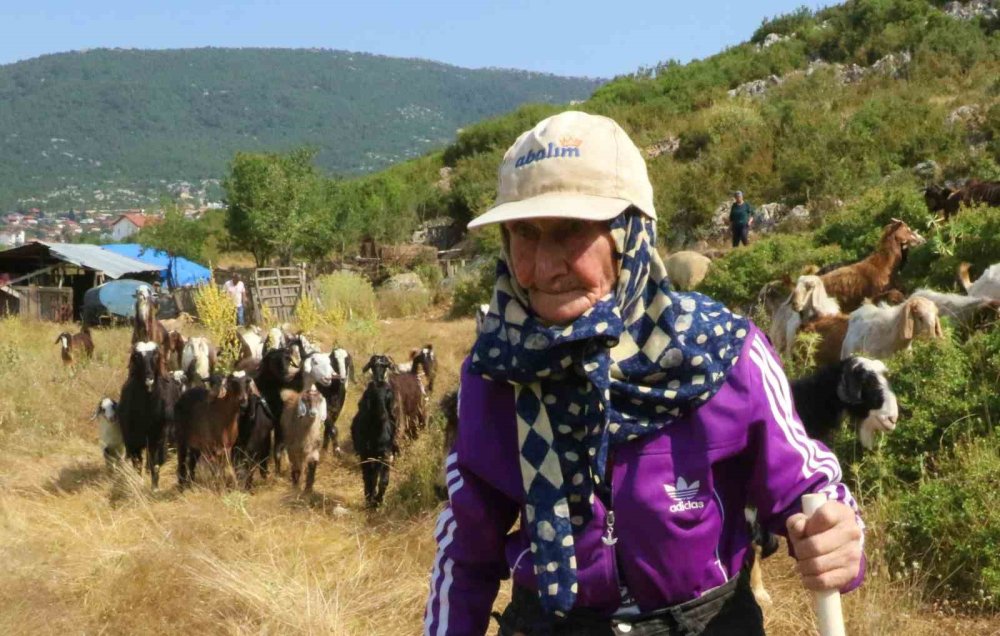 Antalya'nın 94 Yaşındaki Çobanı Emine Nine.. 90 Yıldır Keçileriyle Dağlardan İnmiyor!
