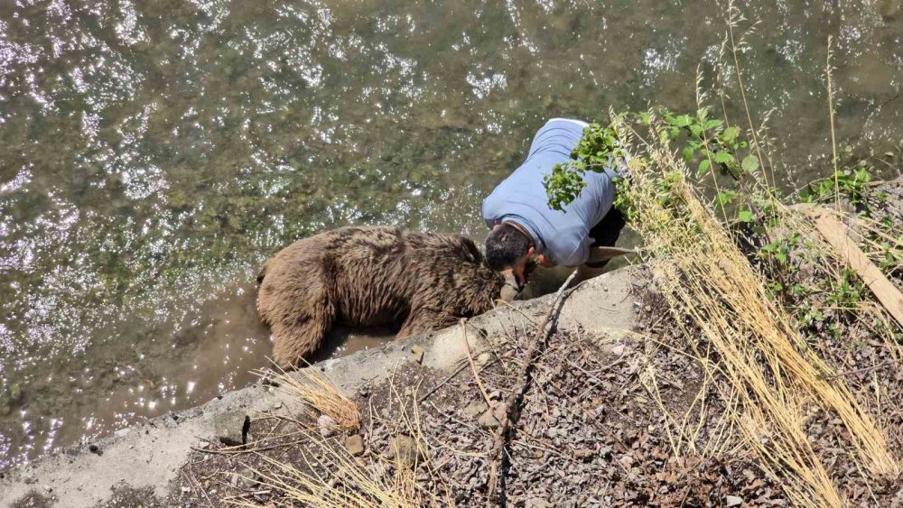Tünelde Başlayan Yaşam Mücadelesi Çayda Son Buldu