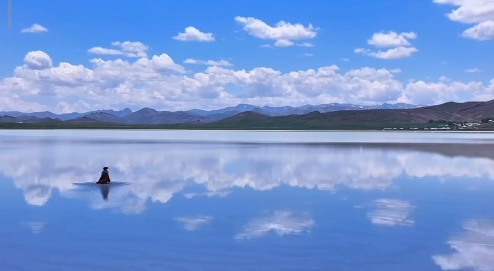 İki Yıl Önce Üzerinden Araçlar Geçen Akgöl, Şimdi Fotoğrafçıların Gözdesi Oldu