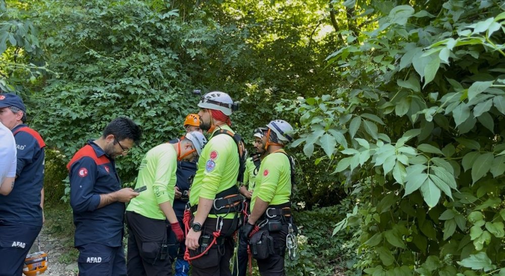 Uludağ’a Ihlamur Toplamaya Gitti, Uçurumdan Düşerek Hayatını Kaybetti