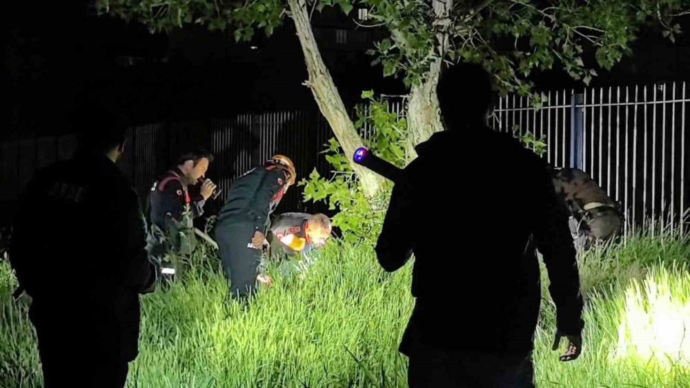 Erzurum’da Gece Yarısı Bebek Ağlama Sesi İhbarı.. Ekipler Bölgede Arama Yaptı!