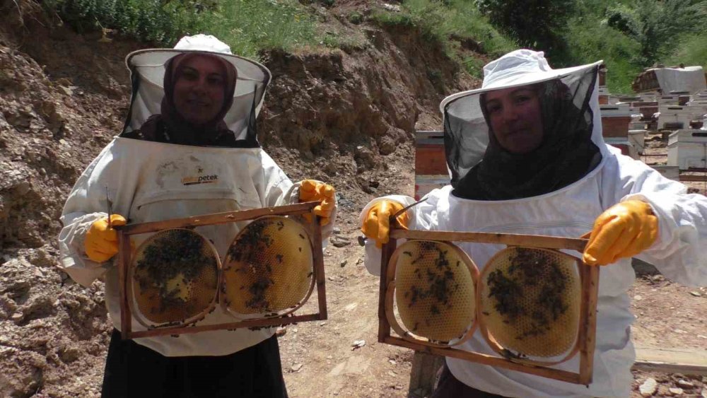 Gelin-Görümcenin Arıcılık Başarısı: 5 Kovandan 100 Kovana Ulaştılar
