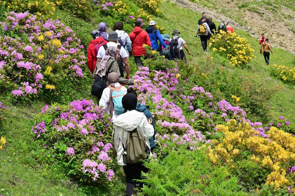 Doğaseverler Akın Etti: Tarihi Taş Patikalarda Santa Yürüyüşü