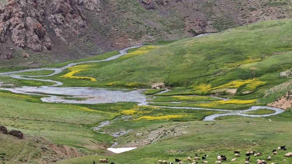 Van’da 25 Kilometrelik Doğa Yürüyüşü Çalyan Gölü’nde Sona Erdi
