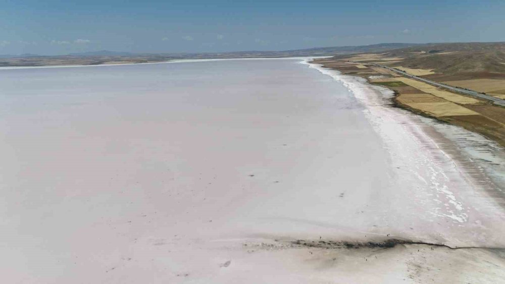 Tuz Gölü Pembe Renge Büründü, Turistler Bölgeye Akın Etti