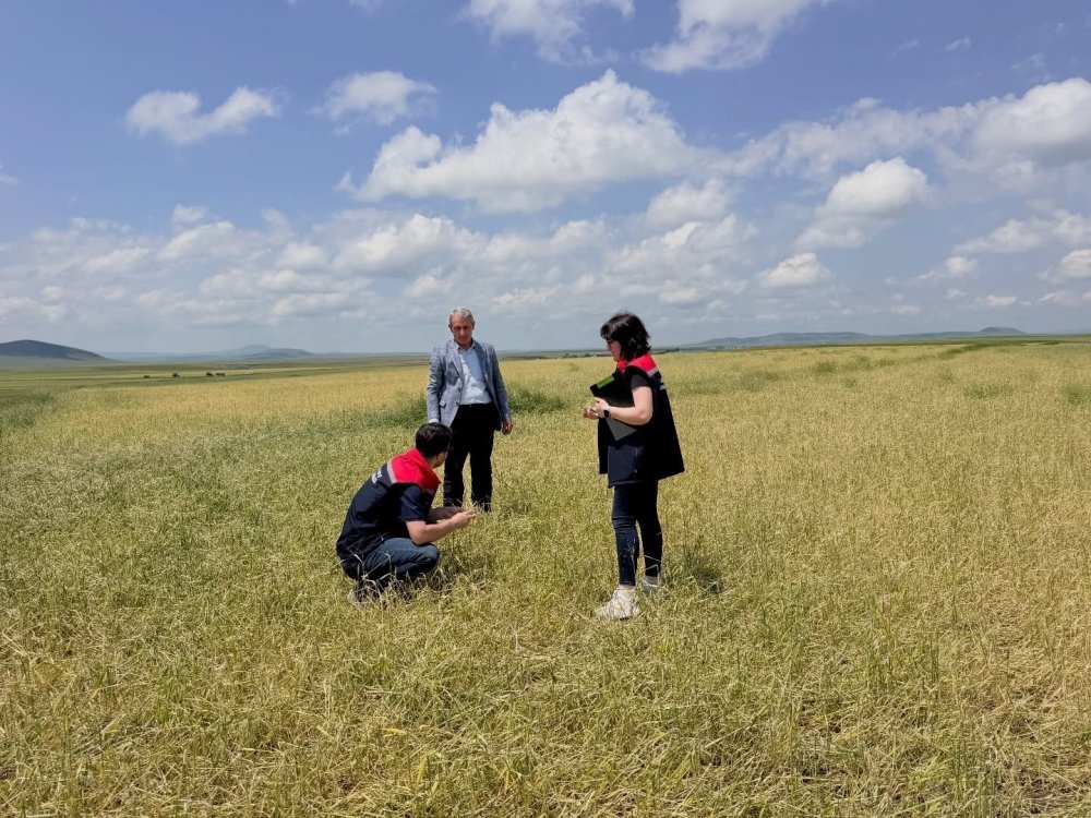 Kars’ta Fırtına Ve Dolu Sonrası Hasar Tespit Çalışmaları Başladı