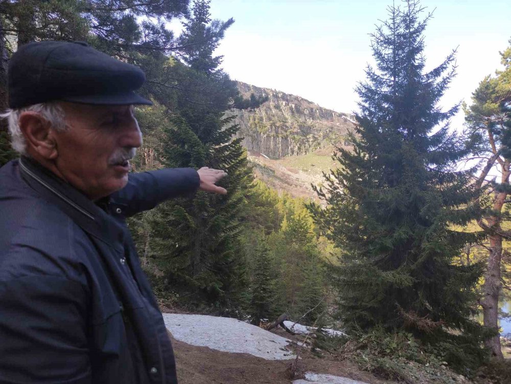 Posof İçin Dikkat Çeken Kraliçe Tamara İddiası.. Orta Çağ’ın Gizemi Araştırılıyor!