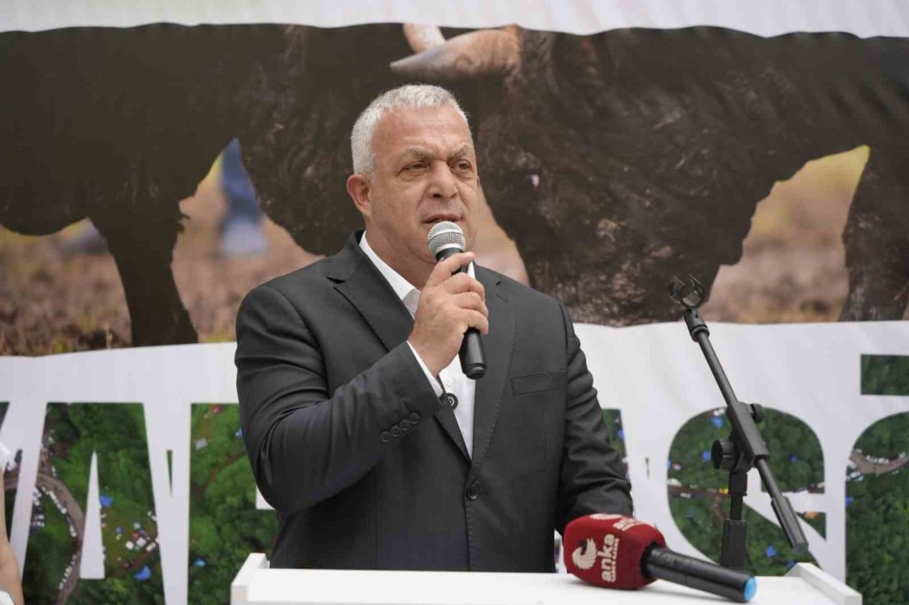 Artvin'de Kafkasör Festivali Başladı.. Geleneksel Boğalı Kortej İlgi Odağı Oldu!