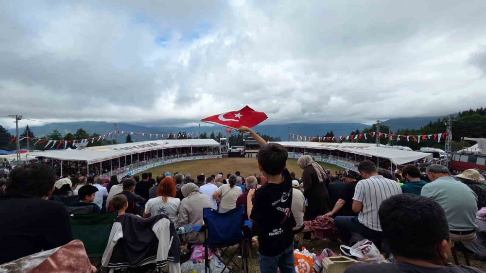 Artvin’in Kafkasör Yaylası’nda Boğaların 45. Randevusu Nefes Kesti