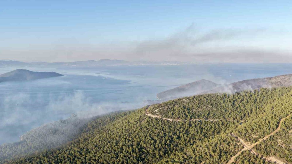 Muğla’da Orman Yangınına Yoğun Müdahale.. Kaplankaya Bölgesi Tahliye Edildi!