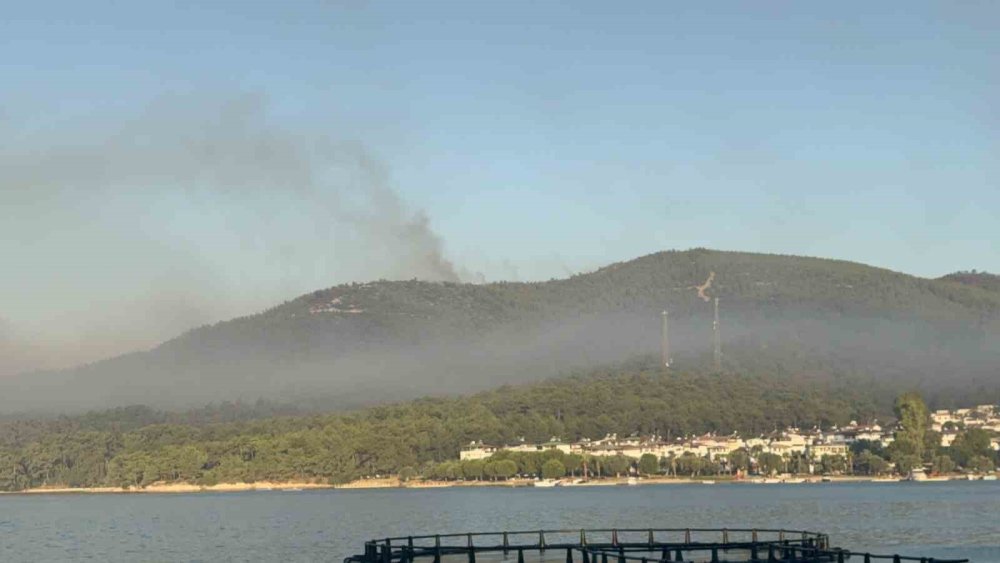 Muğla’da Orman Yangınına Yoğun Müdahale.. Kaplankaya Bölgesi Tahliye Edildi!