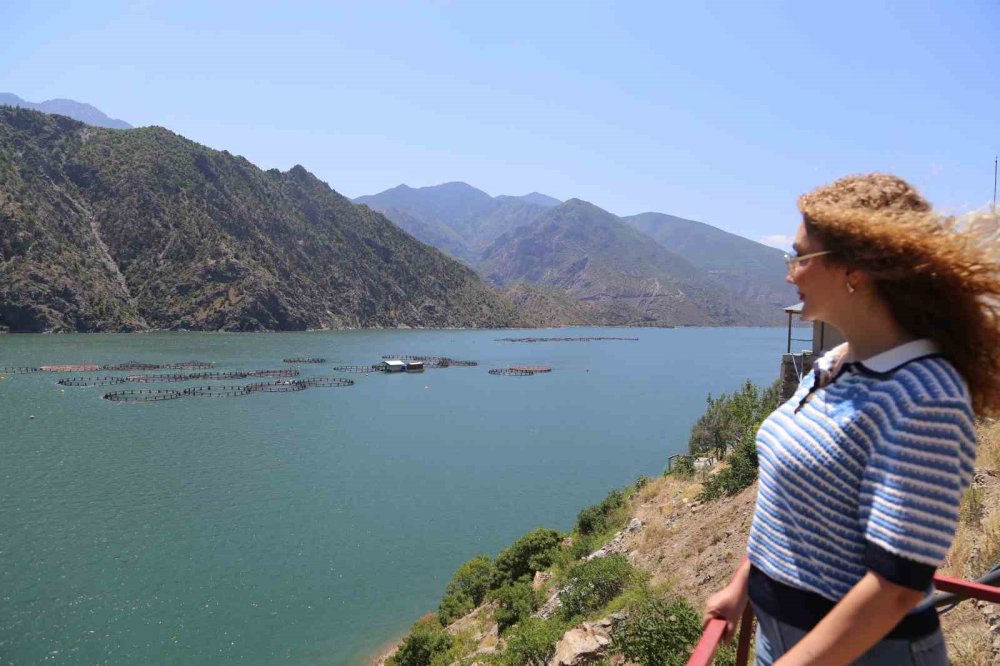 Artvin’de Yerli Somon Üretimi Sürüyor.. Üreticiler İşleme Tesisi İstiyor!