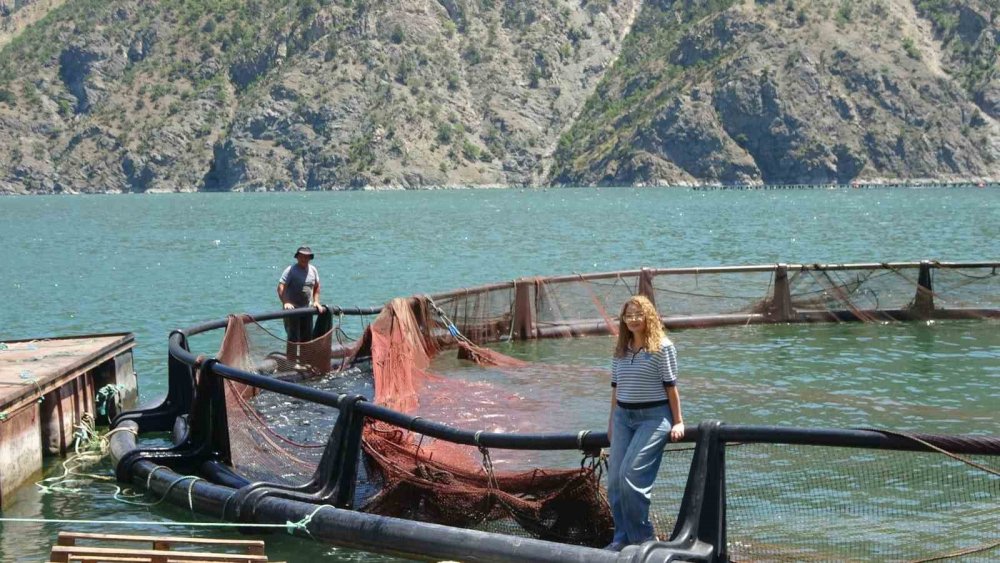 Artvin’de Yerli Somon Üretimi Sürüyor.. Üreticiler İşleme Tesisi İstiyor!