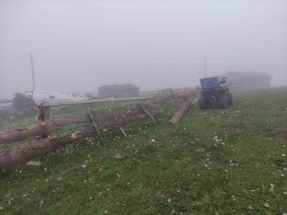 Ardahan-Artvin Sınırındaki Bilbilan Yaylası.. Sis ve Atlar Kartpostallık Görüntüler Oluşturdu!