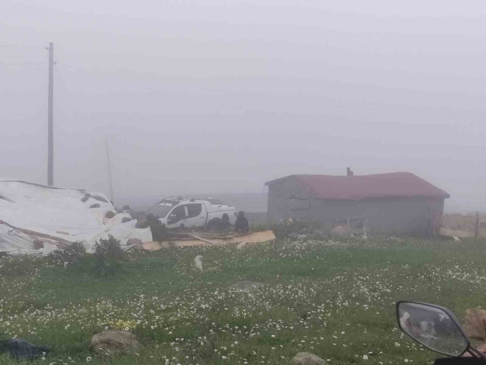 Ardahan-Artvin Sınırındaki Bilbilan Yaylası.. Sis ve Atlar Kartpostallık Görüntüler Oluşturdu!