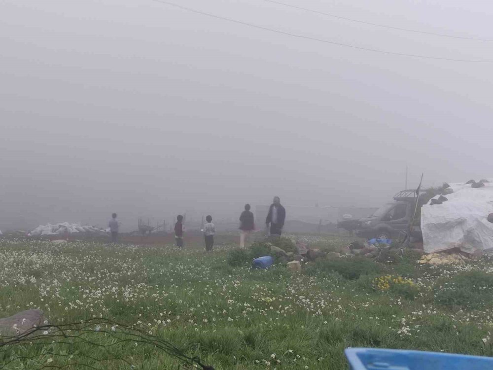 Ardahan-Artvin Sınırındaki Bilbilan Yaylası.. Sis ve Atlar Kartpostallık Görüntüler Oluşturdu!