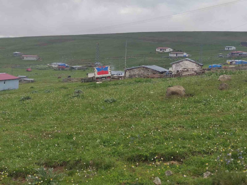 Ardahan-Artvin Sınırındaki Bilbilan Yaylası.. Sis ve Atlar Kartpostallık Görüntüler Oluşturdu!