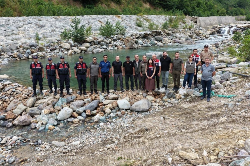 Artvin’de Alabalık Popülasyonu İçin Adım.. 30 Bin Yavru Dereyle Buluşturuldu!
