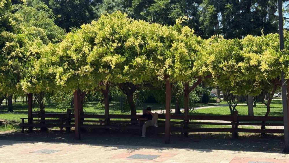 Adana’da Termometreler 42 Dereceyi Gösterdi