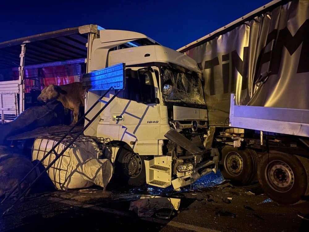 Erzincan-Sivas Kara Yolunda TIR Kazası.. Hayvanlar Yola Savruldu, 5’i Telef Oldu!
