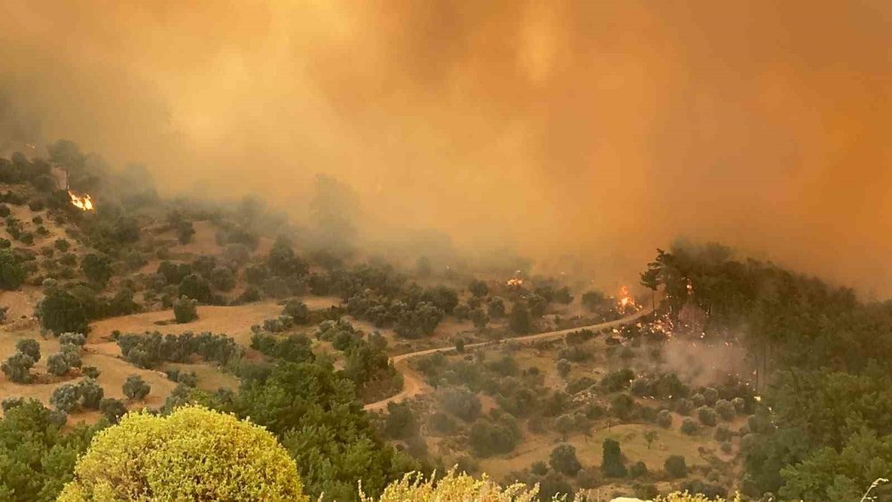 Fethiye-Antalya Kara Yolu Yangın Nedeniyle Trafiğe Kapatıldı