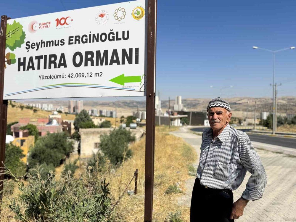 31 Yılda 25 Bin Ağaç Dikerek, Kurak Araziyi Oksijen Sahası Yaptı