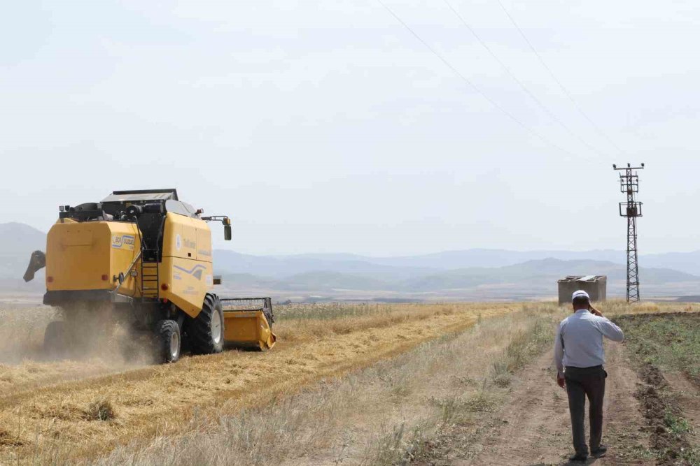Erzurum’da Modern Biçerdöverler Sahada.. Hasat Süreci Hızlandı, Maliyet Azaldı!
