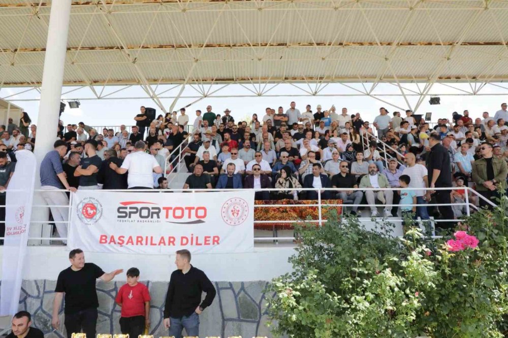 Kütahya’da Rahvan At Yarışları: 43 İlden 130’un Üzerinde At Şampiyonluk İçin Koştu